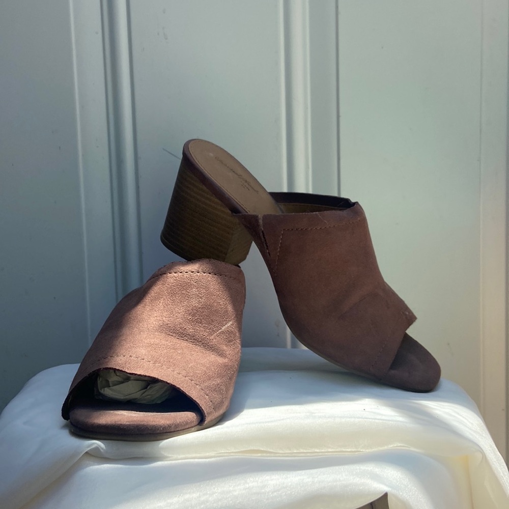 Small brown wedge maybe